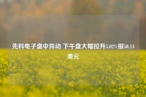 先科电子盘中异动 下午盘大幅拉升5.02%报50.14美元-第1张图片-热门旅游目的地推荐-旅游攻略