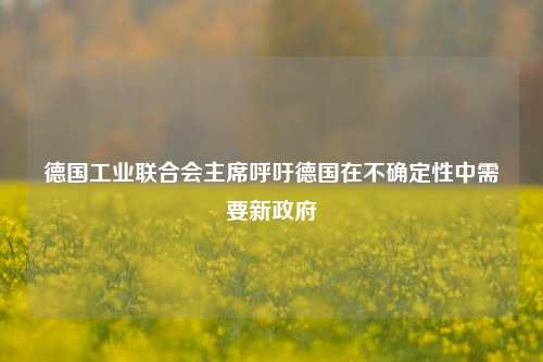 德国工业联合会主席呼吁德国在不确定性中需要新政府-第1张图片-热门旅游目的地推荐-旅游攻略