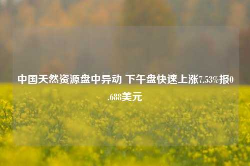 中国天然资源盘中异动 下午盘快速上涨7.53%报0.688美元-第1张图片-热门旅游目的地推荐-旅游攻略