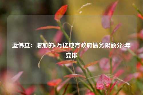 蓝佛安：增加的6万亿地方政府债务限额分3年安排-第1张图片-热门旅游目的地推荐-旅游攻略