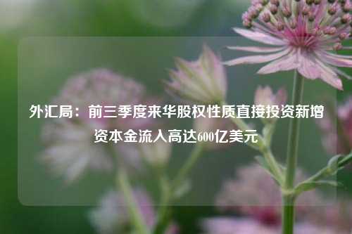 外汇局：前三季度来华股权性质直接投资新增资本金流入高达600亿美元-第1张图片-热门旅游目的地推荐-旅游攻略