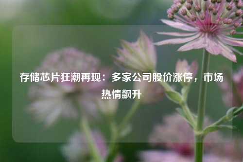 存储芯片狂潮再现：多家公司股价涨停，市场热情飙升-第1张图片-热门旅游目的地推荐-旅游攻略