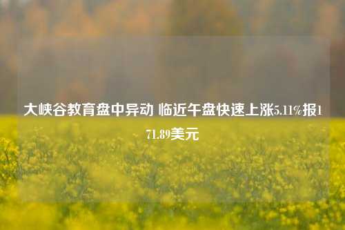 大峡谷教育盘中异动 临近午盘快速上涨5.11%报171.89美元-第1张图片-热门旅游目的地推荐-旅游攻略