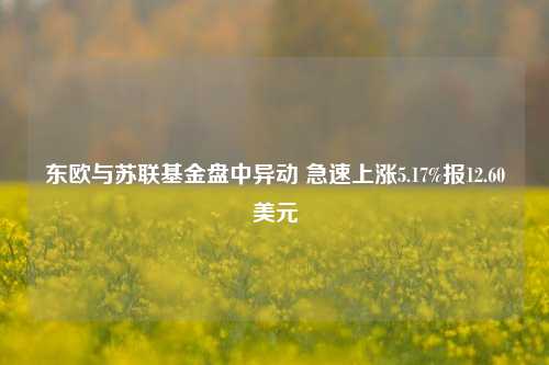 东欧与苏联基金盘中异动 急速上涨5.17%报12.60美元-第1张图片-热门旅游目的地推荐-旅游攻略