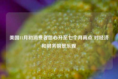 美国11月初消费者信心升至七个月高点 对经济和财务前景乐观-第1张图片-热门旅游目的地推荐-旅游攻略