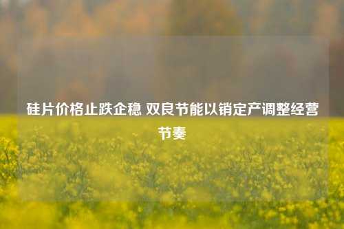 硅片价格止跌企稳 双良节能以销定产调整经营节奏-第1张图片-热门旅游目的地推荐-旅游攻略