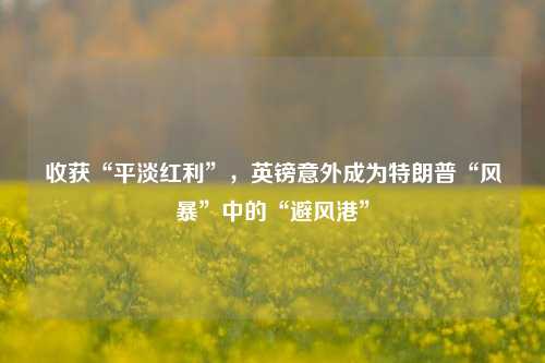 收获“平淡红利”，英镑意外成为特朗普“风暴”中的“避风港”-第1张图片-热门旅游目的地推荐-旅游攻略