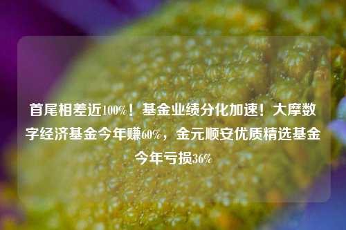 首尾相差近100%！基金业绩分化加速！大摩数字经济基金今年赚60%，金元顺安优质精选基金今年亏损36%-第1张图片-热门旅游目的地推荐-旅游攻略