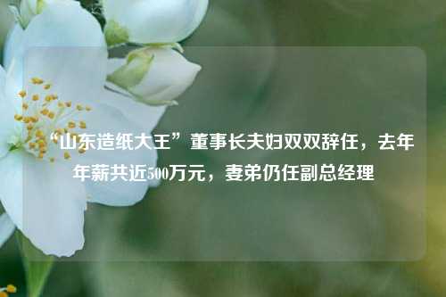 “山东造纸大王”董事长夫妇双双辞任，去年年薪共近500万元，妻弟仍任副总经理-第1张图片-热门旅游目的地推荐-旅游攻略