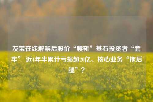 友宝在线解禁后股价“腰斩”基石投资者“套牢” 近4年半累计亏损超20亿、核心业务“拖后腿”？-第1张图片-热门旅游目的地推荐-旅游攻略