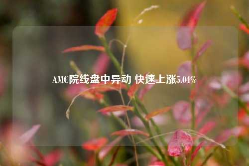 AMC院线盘中异动 快速上涨5.04%-第1张图片-热门旅游目的地推荐-旅游攻略