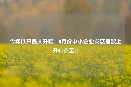 今年以来最大升幅  10月份中小企业发展指数上升0.3点至89-第1张图片-热门旅游目的地推荐-旅游攻略