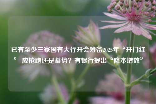 已有至少三家国有大行开会筹备2025年“开门红” 应抢跑还是蓄势？有银行提出“降本增效”-第1张图片-热门旅游目的地推荐-旅游攻略