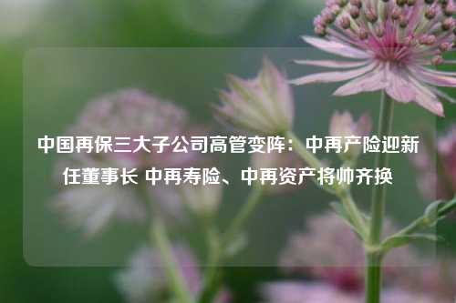 中国再保三大子公司高管变阵：中再产险迎新任董事长 中再寿险、中再资产将帅齐换-第1张图片-热门旅游目的地推荐-旅游攻略