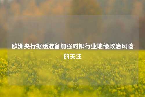 欧洲央行据悉准备加强对银行业地缘政治风险的关注-第1张图片-热门旅游目的地推荐-旅游攻略