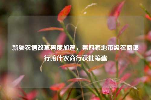 新疆农信改革再度加速，第四家地市级农商银行喀什农商行获批筹建-第1张图片-热门旅游目的地推荐-旅游攻略