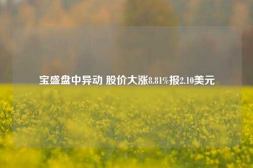 宝盛盘中异动 股价大涨8.81%报2.10美元-第1张图片-热门旅游目的地推荐-旅游攻略