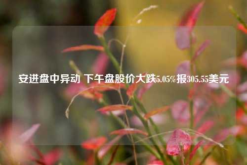 安进盘中异动 下午盘股价大跌5.05%报305.55美元-第1张图片-热门旅游目的地推荐-旅游攻略