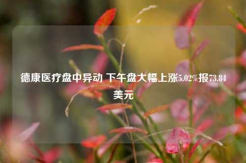 德康医疗盘中异动 下午盘大幅上涨5.02%报73.84美元-第1张图片-热门旅游目的地推荐-旅游攻略