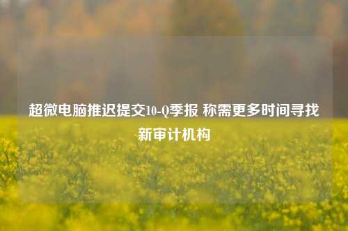 超微电脑推迟提交10-Q季报 称需更多时间寻找新审计机构-第1张图片-热门旅游目的地推荐-旅游攻略