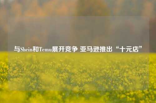 与Shein和Temu展开竞争 亚马逊推出“十元店”-第1张图片-热门旅游目的地推荐-旅游攻略