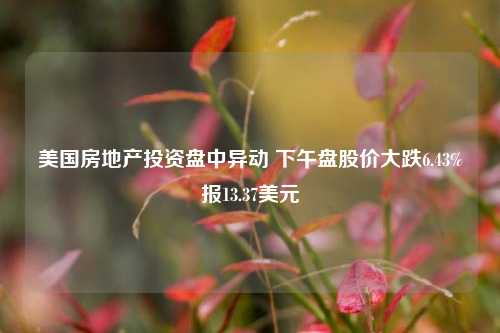 美国房地产投资盘中异动 下午盘股价大跌6.43%报13.37美元-第1张图片-热门旅游目的地推荐-旅游攻略