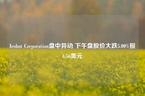 Irobot Corporation盘中异动 下午盘股价大跌5.00%报6.56美元-第1张图片-热门旅游目的地推荐-旅游攻略