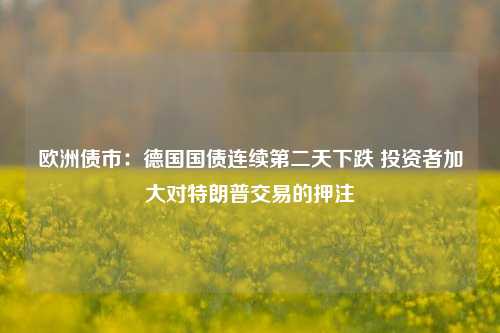 欧洲债市：德国国债连续第二天下跌 投资者加大对特朗普交易的押注-第1张图片-热门旅游目的地推荐-旅游攻略