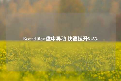 Beyond Meat盘中异动 快速拉升5.45%-第1张图片-热门旅游目的地推荐-旅游攻略