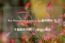 West Pharmaceutical Services, Inc.盘中异动 下午盘股价大跌5.17%报320.64美元-第1张图片-热门旅游目的地推荐-旅游攻略