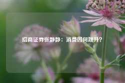 招商证券张静静：消费因何跳升？-第1张图片-热门旅游目的地推荐-旅游攻略