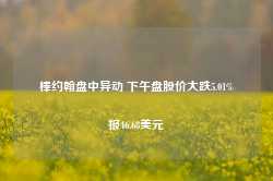 棒约翰盘中异动 下午盘股价大跌5.01%报46.68美元-第1张图片-热门旅游目的地推荐-旅游攻略