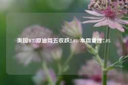 美国WTI原油周五收跌2.4% 本周重挫7.4%-第1张图片-热门旅游目的地推荐-旅游攻略