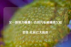 又一新势力暴雷！合创汽车被曝拖欠赔偿金 此前已大裁员-第1张图片-热门旅游目的地推荐-旅游攻略