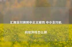 汇潮支付牌照中止又被罚 中小支付机构反洗钱怎么做-第1张图片-热门旅游目的地推荐-旅游攻略