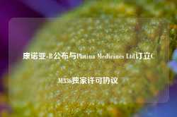 康诺亚-B公布与Platina Medicines Ltd订立CM336独家许可协议-第1张图片-热门旅游目的地推荐-旅游攻略