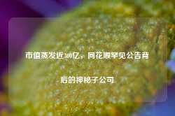 市值蒸发近300亿，同花顺罕见公告背后的神秘子公司-第1张图片-热门旅游目的地推荐-旅游攻略