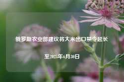 俄罗斯农业部建议将大米出口禁令延长至2025年6月30日-第1张图片-热门旅游目的地推荐-旅游攻略