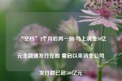 “空档”2个月后再一例 马上消金10亿元金融债发行在即 重启以来消金公司发行额已超500亿元-第1张图片-热门旅游目的地推荐-旅游攻略