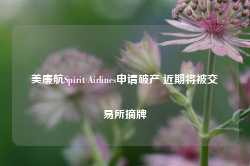 美廉航Spirit Airlines申请破产 近期将被交易所摘牌-第1张图片-热门旅游目的地推荐-旅游攻略