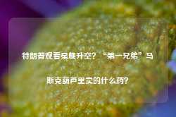 特朗普观看星舰升空？“第一兄弟”马斯克葫芦里卖的什么药？-第1张图片-热门旅游目的地推荐-旅游攻略