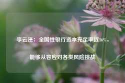 李云泽：全国性银行资本充足率近16%，能够从容应对各类风险挑战-第1张图片-热门旅游目的地推荐-旅游攻略