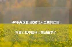 6户中央企业12名领导人员职务任免：刘雷云任中国稀土集团董事长-第1张图片-热门旅游目的地推荐-旅游攻略