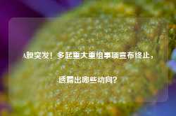 A股突发！多起重大重组事项宣布终止，透露出哪些动向？-第1张图片-热门旅游目的地推荐-旅游攻略