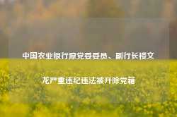 中国农业银行原党委委员、副行长楼文龙严重违纪违法被开除党籍-第1张图片-热门旅游目的地推荐-旅游攻略