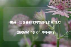 惠州一国企登报求购农商行股权 地方国资频频“加码”中小银行-第1张图片-热门旅游目的地推荐-旅游攻略