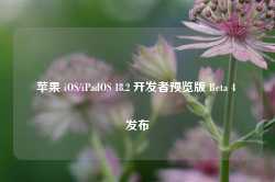 苹果 iOS/iPadOS 18.2 开发者预览版 Beta 4 发布-第1张图片-热门旅游目的地推荐-旅游攻略