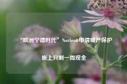 “欧洲宁德时代”Northvolt申请破产保护 账上只剩一周现金-第1张图片-热门旅游目的地推荐-旅游攻略