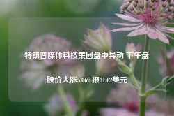 特朗普媒体科技集团盘中异动 下午盘股价大涨5.06%报31.62美元-第1张图片-热门旅游目的地推荐-旅游攻略