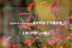 Applovin Corporation盘中异动 下午盘急速上涨5.02%报334.20美元-第1张图片-热门旅游目的地推荐-旅游攻略